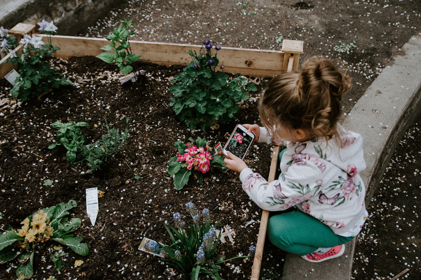 Family Gardening