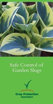 Safe Control Of Garden Slugs 2013