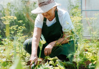 Seniors and gardening