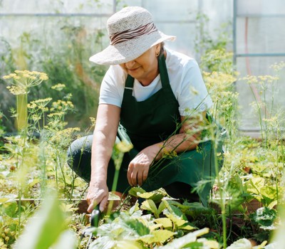 Seniors and gardening