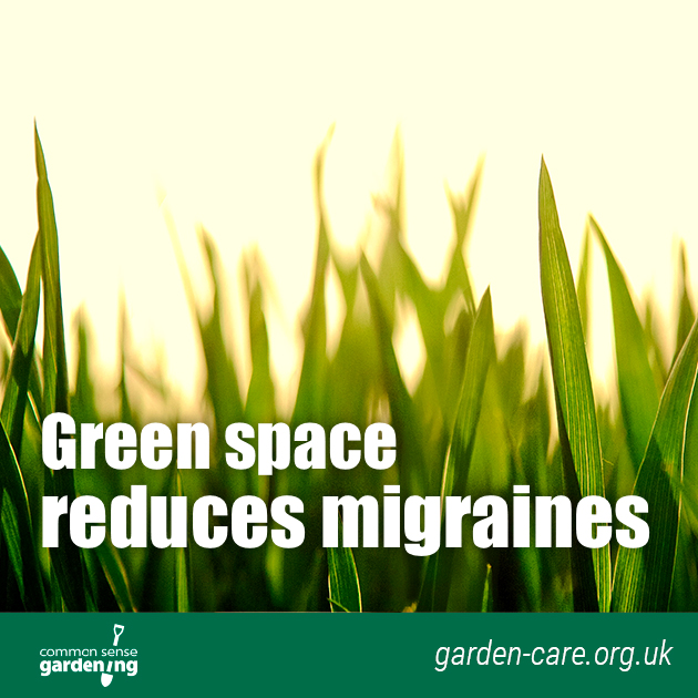 Green Space Reduces Migraines Insta