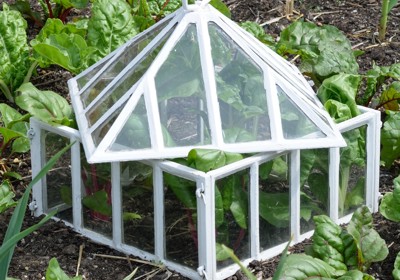 Protect your plants from wind 