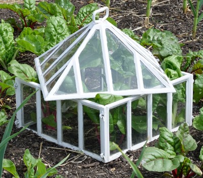 Protect your plants from wind 
