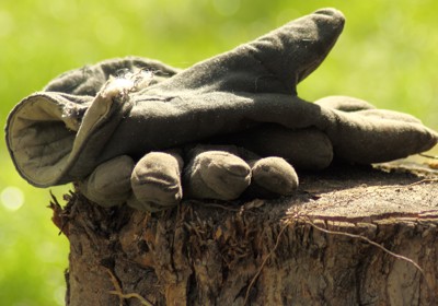 Dealing with tree stumps and unwanted saplings