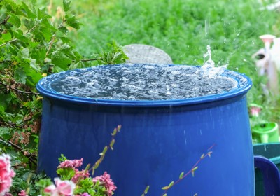 Water usage in gardens