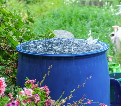 Water usage in gardens