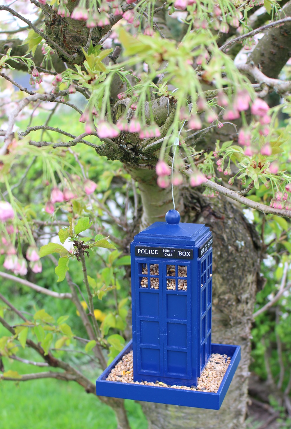 Police Box Bird Feeder From Peach Perfect 3