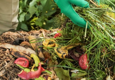 Perfecting your compost heap