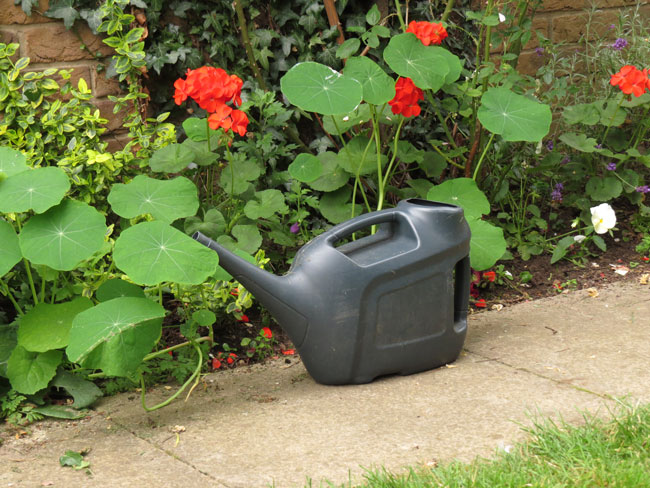 Watering Can