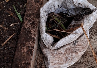 Plastic waste and your garden