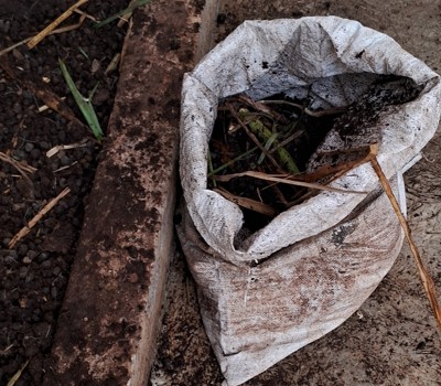 Plastic waste and your garden